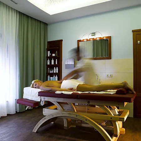 Hotel Alpenrose Wellnesshotel 4*